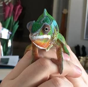 Meet your Posher, Tracy